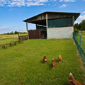 Bed and Breakfast Cesena Fiera