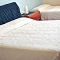 Bed and Breakfast Mirabilandia